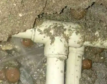 七星测漏水多少钱