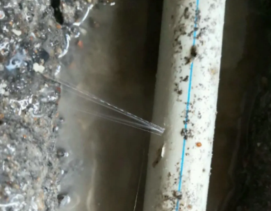 七星测漏水哪家好