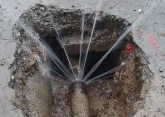 七星漏水检测多少钱