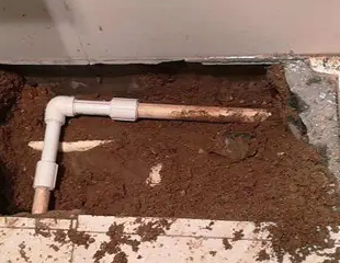 七星测漏水哪家好