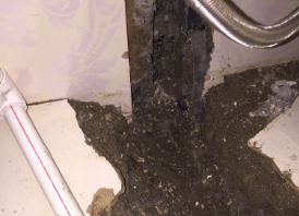 七星卫生间测漏水哪家好