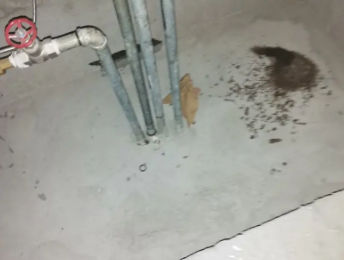 七星卫生间测漏水价格明细